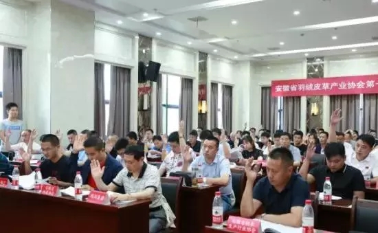 安徽省羽絨皮草產(chǎn)業(yè)協(xié)會(huì)成立，夏吉國(guó)總裁任第一屆理事會(huì)顧問(wèn)